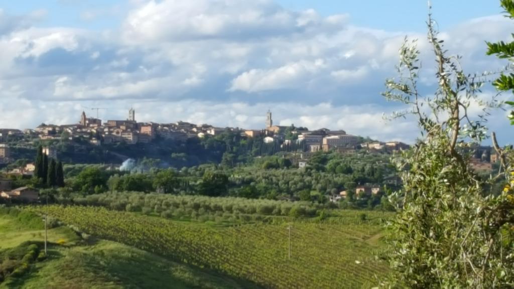 Aia Mattonata Relais Bed and Breakfast Siena Exterior foto